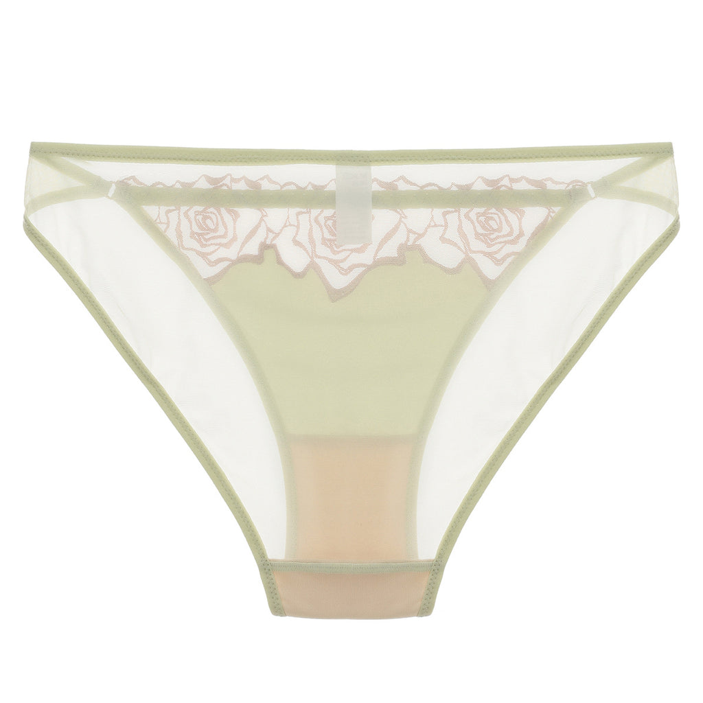 Braguitas triangulo transparencia